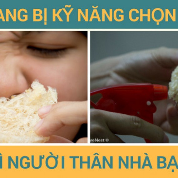 Cảnh báo: Yến sào giả đang tràn ngập thị trường